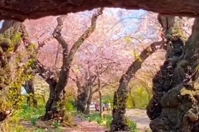Gluten Free Walking Tour of Central Park NYC - Who Should Consider This Tour?