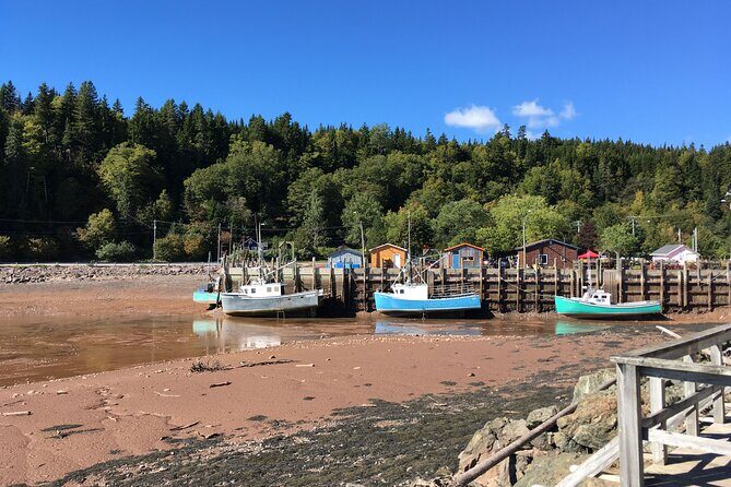 Go Fundy Tours - Authentic Touches and Customer Feedback