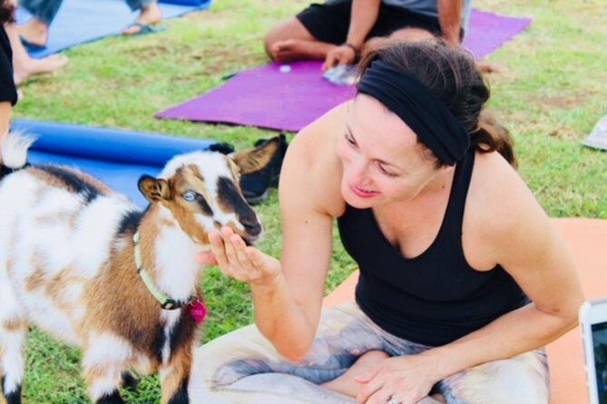 Goat Yoga with Miniature Goats In Maui - The Scenic Setting and Atmosphere