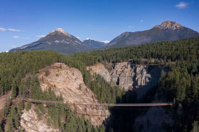 Golden, BC: Golden Skybridge Bridge Pass Admission - What to Expect: The Experience from Start to Finish