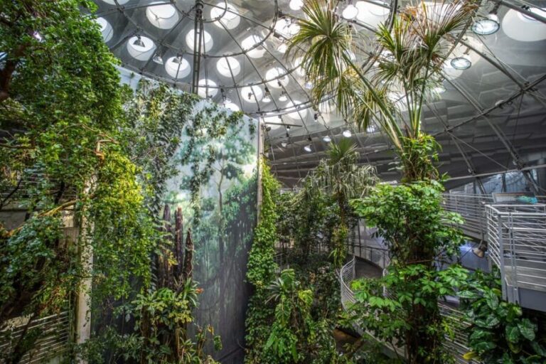 Golden Gate Park Tour With California Academy of Sciences - What to Expect and Practical Details