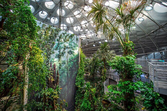 Golden Gate Park Tour With California Academy of Sciences Ticket - Practical Details and Tips