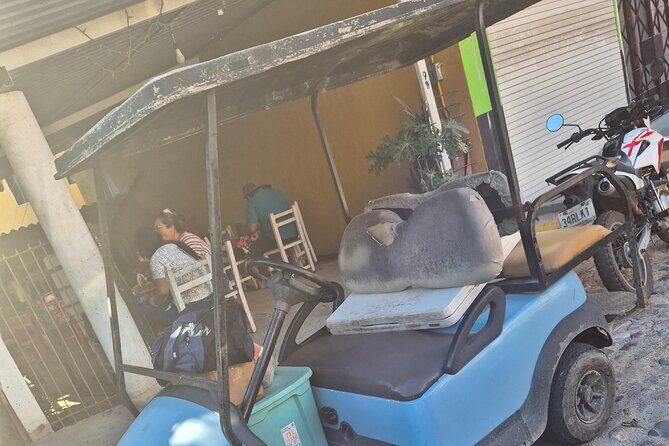 Golf Cart Rental in Sayulita - Analyzing the Cost and Value