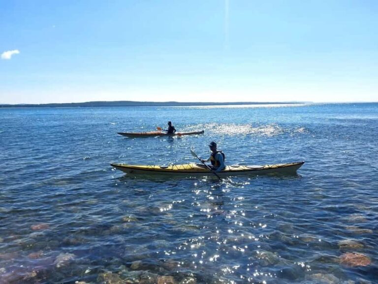 Goulais River: Maple Island Traders Guided Kayak Tour - What to Expect on the Water