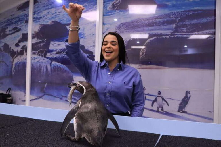 Gran Acuario Mazatlan - Marine Life Encounters and Exhibits