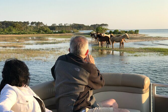 Grand Boat Tour around Chincoteague and Assateague Islands - Who Will Love This Tour?