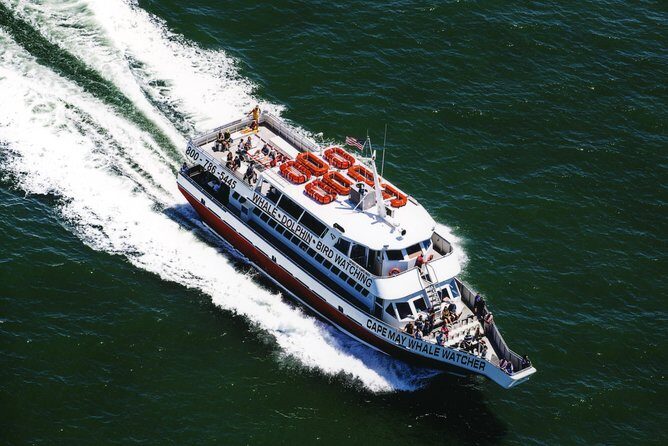 Grand Lighthouse Tour from Cape May - Food and Comfort: An Unexpected Bonus