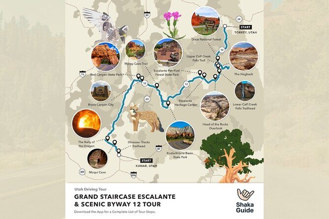Grand Staircase and Scenic Byway 12 Self-Guided Audio Tour - Who Will Love This Tour?
