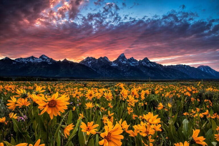 Grand Teton: Private Guided Tour (Sunset) - Assessing the Value: Is It Worth It?