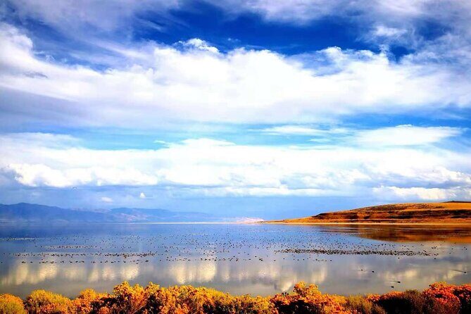 Grand Teton, Yellowstone, and Glacier National Parks 8-Day Tour - Who Will Love This Tour?