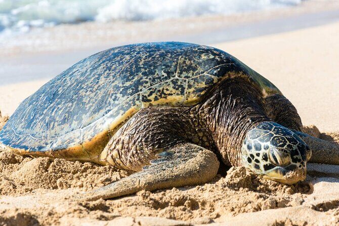 Grand Tour Around Island 16 Locations plus Snorkeling - Why This Tour Is a Value