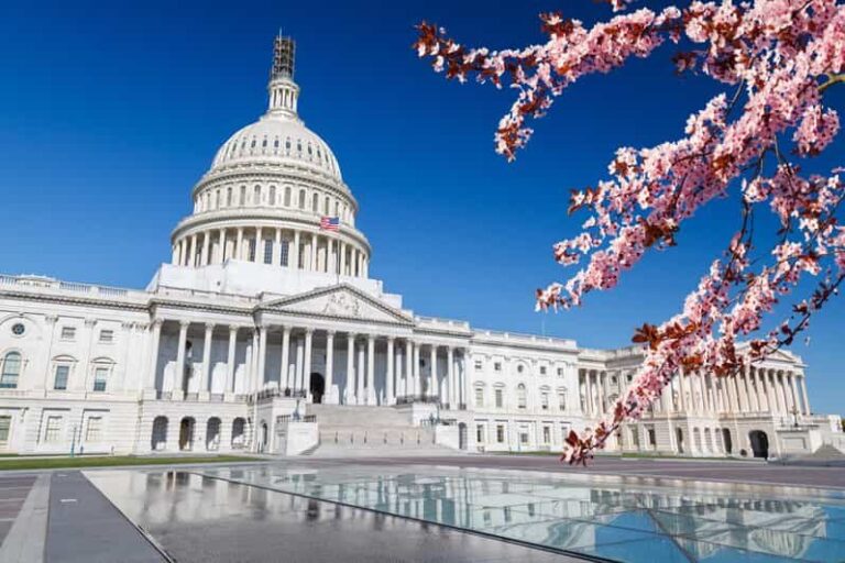 Grand Tour Of Washington DC - What’s Included and What’s Not