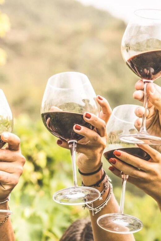 Grape Escapes Full-Day Private Wine Tour in Ithaca - The Value of a Private Tour