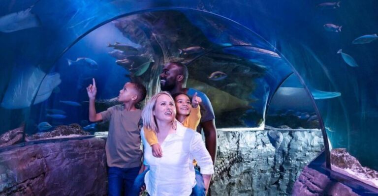 Grapevine: SEA LIFE Grapevine Aquarium General Admission - A Close Look at the Experience