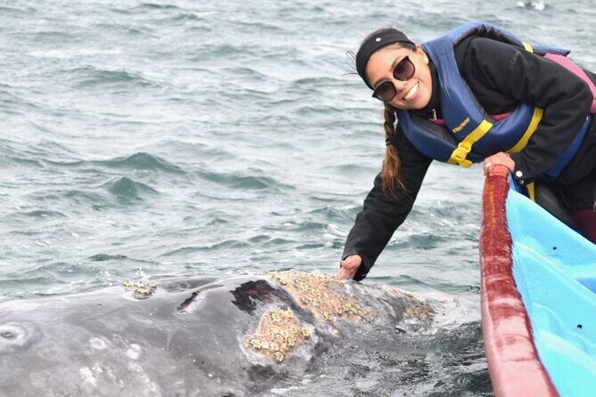 Gray Whale Watching in Bahia Magdalena - The Itinerary: What to Expect