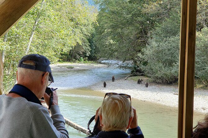 Great Bears of Bute: Grizzly Bear Viewing & Indigenous Cultural Tour - Who Will Love This Tour?