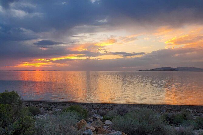 Great Salt Lake Safari - Discover Antelope Island - Who Will Love This Tour?