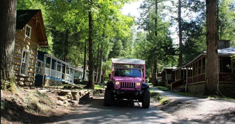 Great Smoky Mountains: Elkmont Historic District Tour - What to Expect and Practical Tips