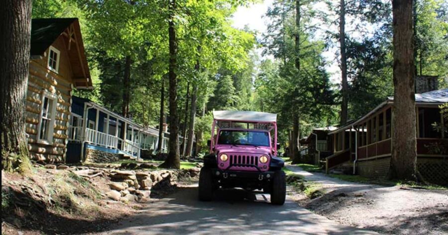 Great Smoky Mountains: Elkmont Historic District Tour - What to Expect and Practical Tips
