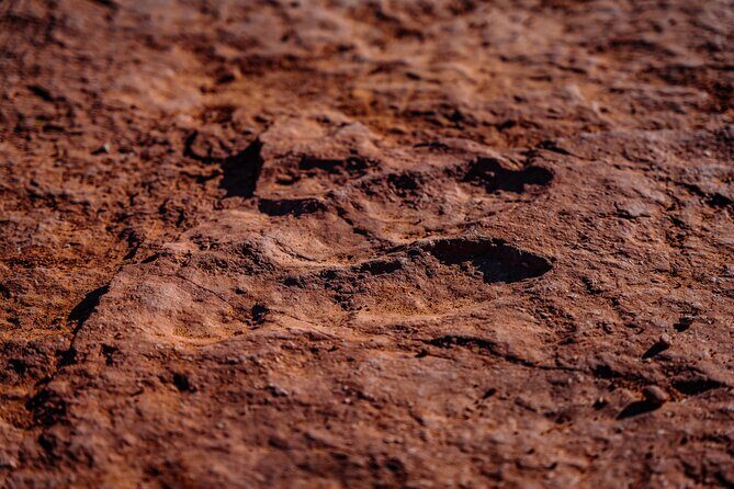 Greater Zion: Extreme Adrenaline UTV Tour in Sand Hollow - What We Love About This Tour