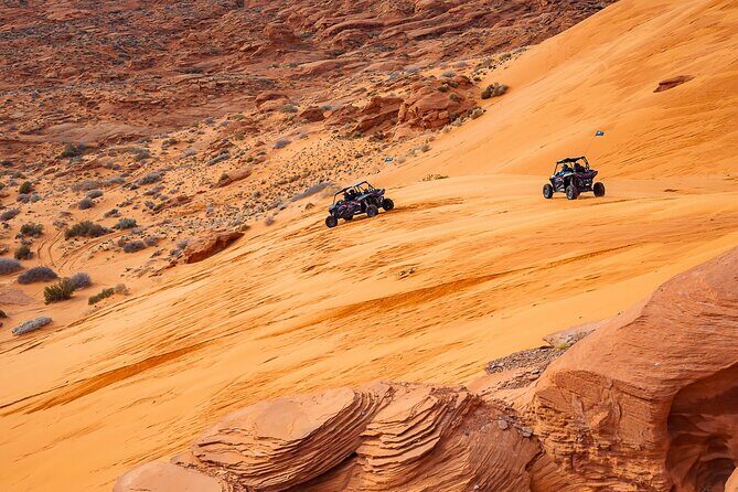 Greater Zion: Women's Only Guided UTV Tour - The UTV Experience: What You Can Expect