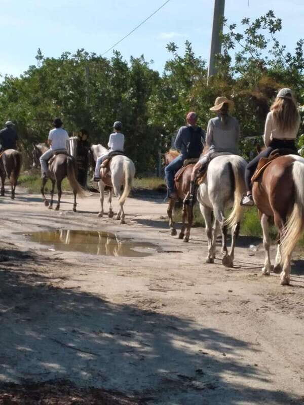 Group horseback ride on Holbox Island, Quintana Roo - The Landscape
