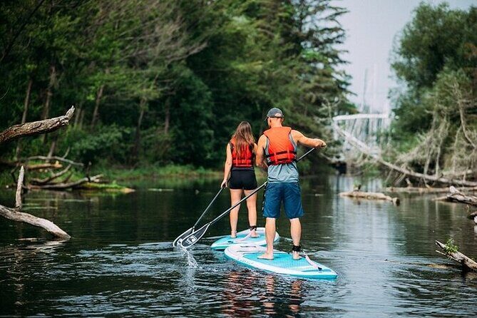 Group Intro to SUP in Toronto Island, Canada - Who Will Enjoy This Tour?