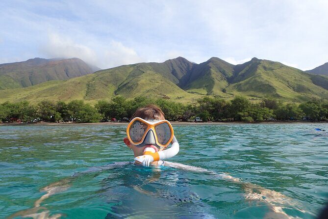 Group Snorkel Excursions in Lahaina, Maui - Who is This Tour Best For?