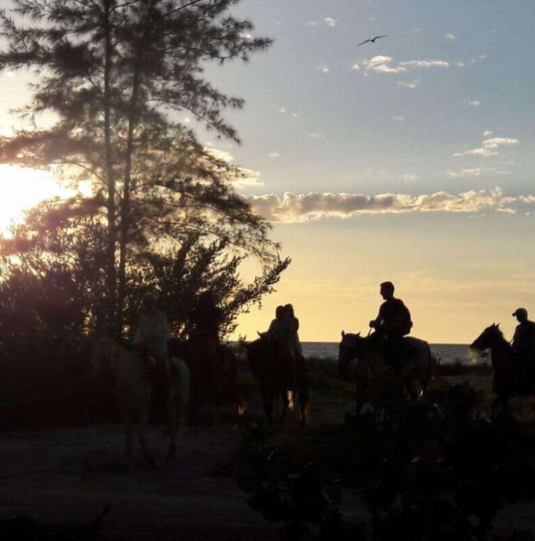 Group Tour of Holbox Island, Quintana Roo - Practical Details and Value