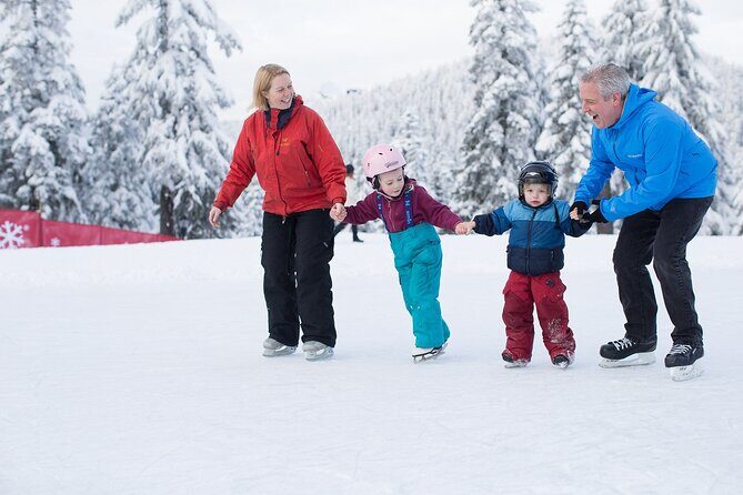Grouse Mountain Admission Ticket - What the Reviews Reveal