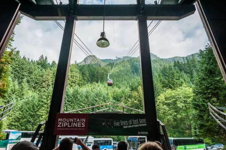 Grouse Mountain, Capilano Bridge & Fish Hatchery Tour - The Experience Value: Are the Costs Justified?