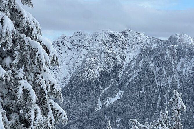 Grouse Mountain Snowshoeing Adventure with Scenic Skyride - Views and Photo Opportunities