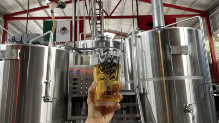 Guadalajara Arquitecture and Brewery Tour - The Itinerary in Detail