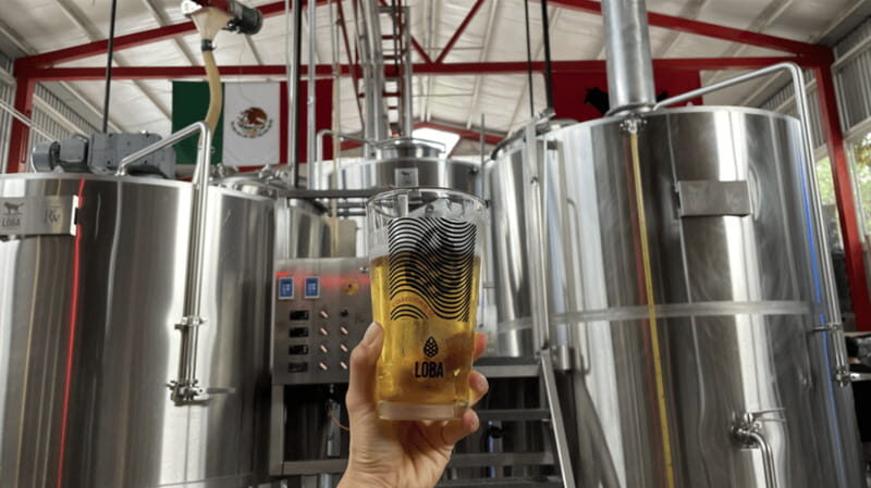Guadalajara Arquitecture and Brewery Tour - The Itinerary in Detail