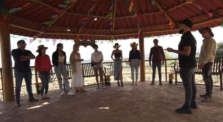 Guadalajara: Premium Tequila Tour with Tastings and Pairings - The Practicalities: What’s Included and What to Know