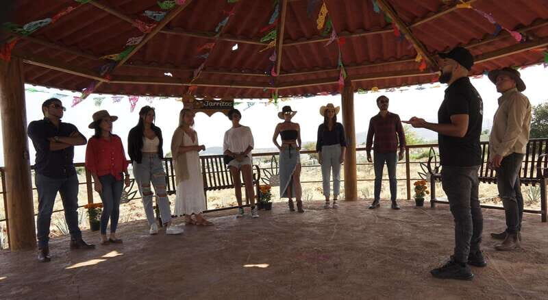 Guadalajara: Premium Tequila Tour with Tastings and Pairings - The Practicalities: What’s Included and What to Know