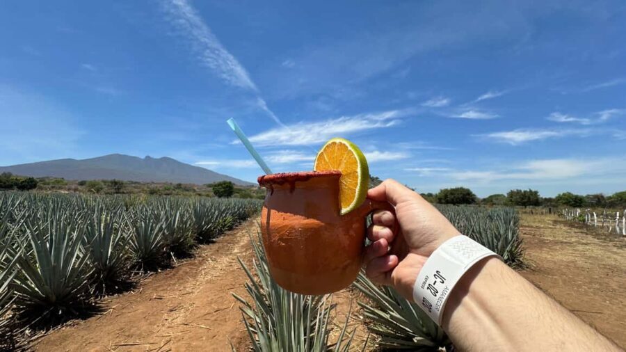 Guadalajara: Tequila Day Trip with Jose Cuervo Option - What to Expect on the Day