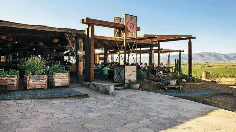 Guadalupe Valley: Complete Wine Route - Itinerary Breakdown: What to Expect