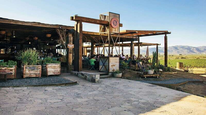 Guadalupe Valley: Complete Wine Route