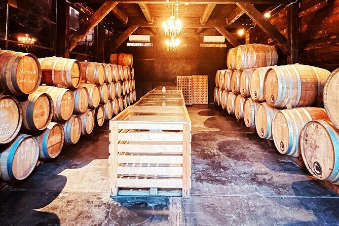 Guadalupe Valley Private Tour The Wine Route - The Experience from Past Travelers’ Perspectives