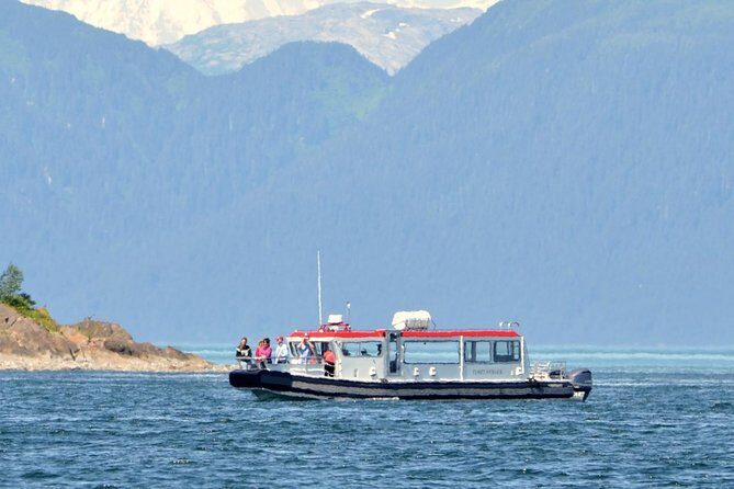 Guaranteed Whale Watching Adventure - The Itinerary in Detail
