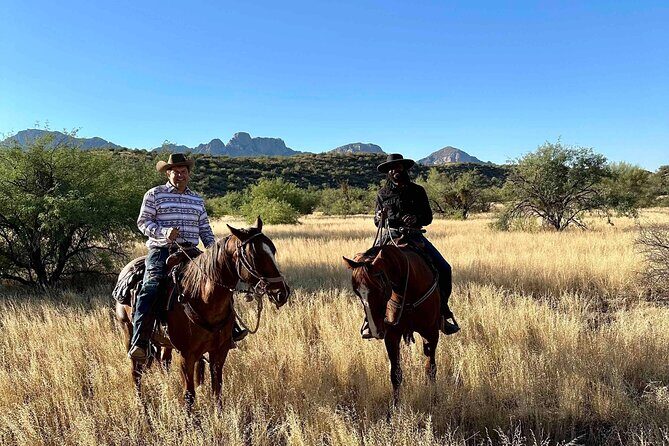 Guided 2 Hour Horseback Ride Catalina State Park Coronado Forest - Authentic Experiences and Honest Feedback