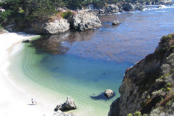Guided 2-Hour Point Lobos Nature Walk - Who Should Book This Tour?