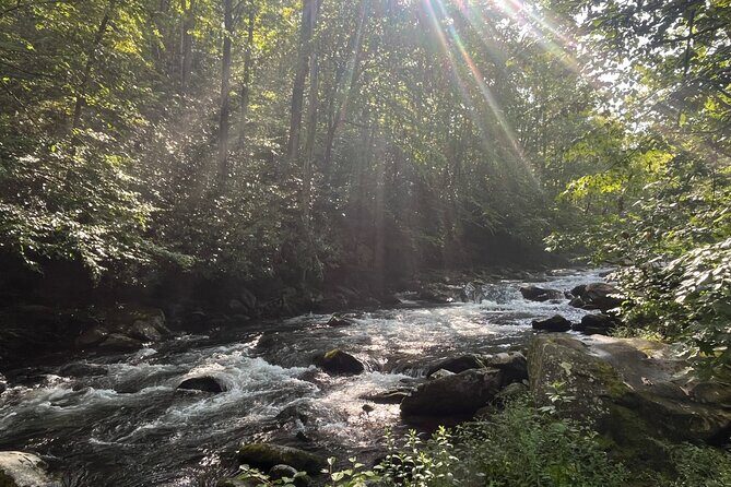 Guided Art Adventure Hikes in Great Smoky Mountains Natl Park - The Experience for Different Travelers