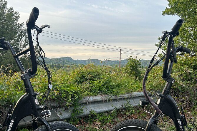 Guided Asheville E-bike Tour of River Arts, Mountains and Murals - What Makes This Tour Stand Out?