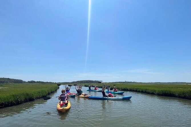 Guided Assateague Kayaking and Wildlife Discovery Tour - Authentic Experiences and Traveler Feedback