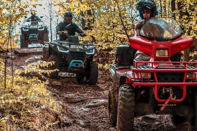 Guided ATV Adventure Tours in Kaladar - What to Expect on Your ATV Adventure