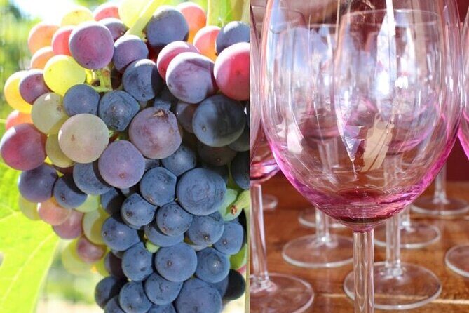 Guided Bike Tour on Historical Kettle Valley Railway at Myra Canyon & Wine Tour - The Transition to Wine Tasting