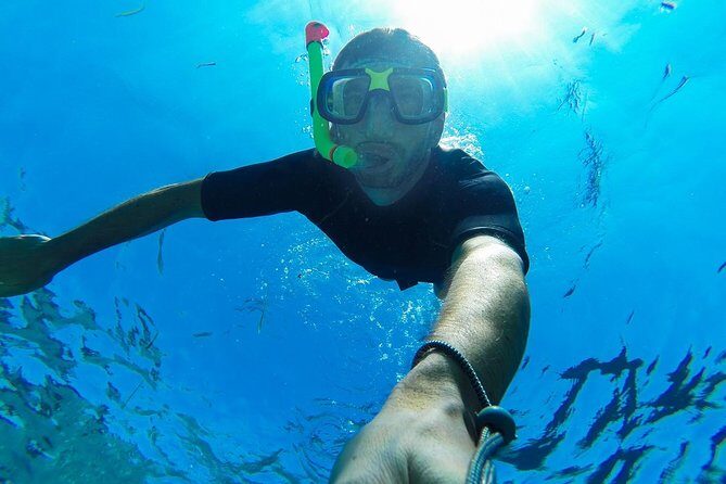 Guided by Divemaster, Cabo San Lucas short Snorkeling Tour MANTA - What Makes This Tour Stand Out?