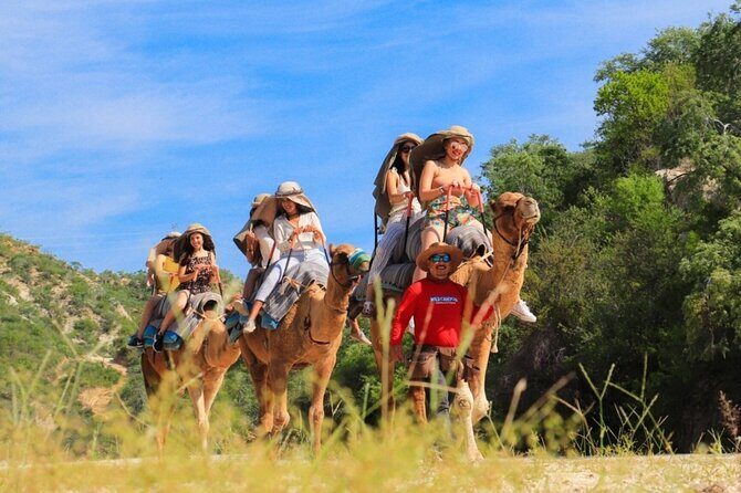 Guided Canyon Camel Ride in Wild Canyon Adventure Park - Authentic Reviews: From Happy Travelers
